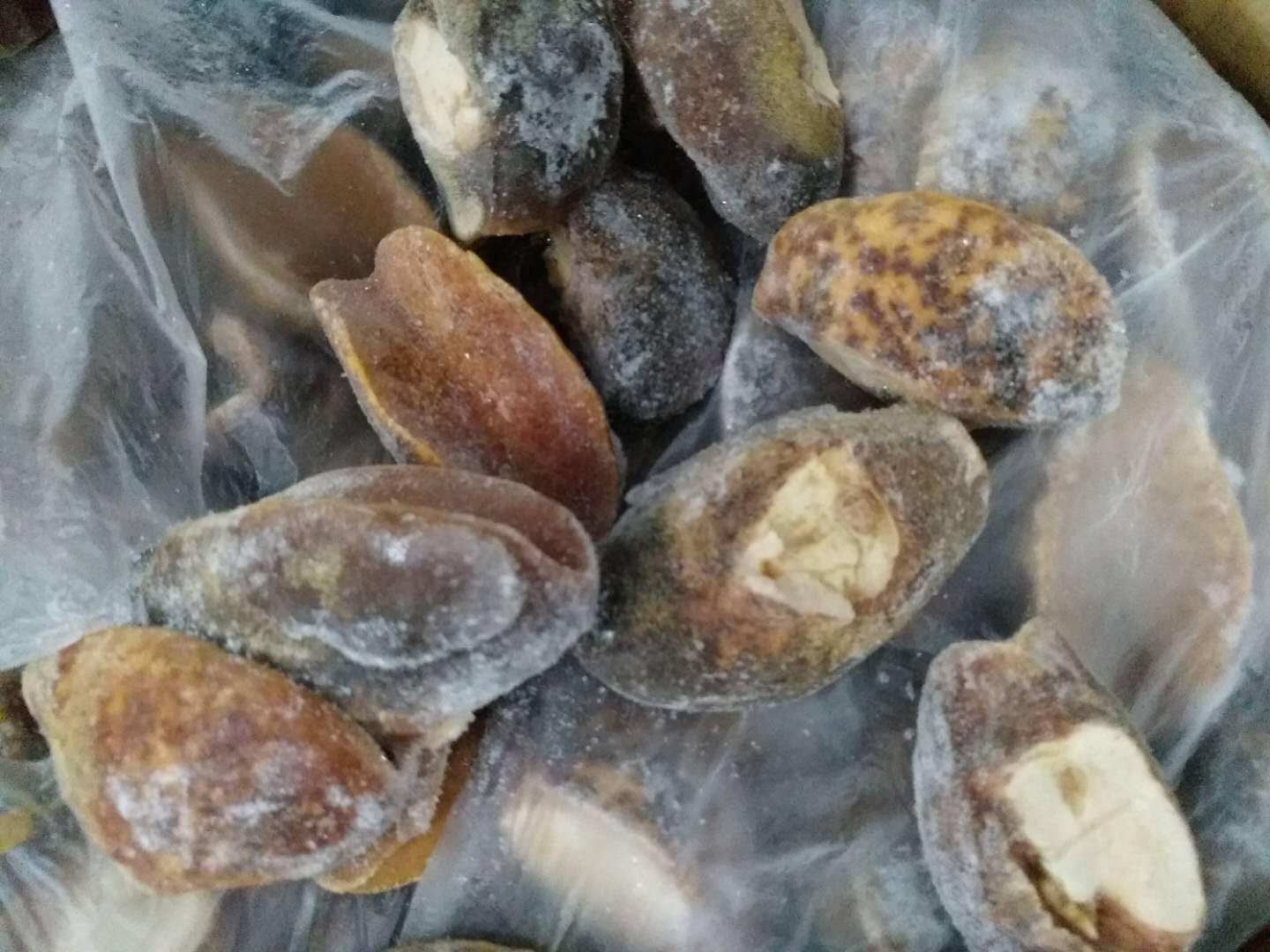 非洲凍海螺肉進口清關(guān)案例 非洲凍海螺肉進口清關(guān)案例